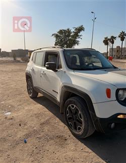 جيب رينيجيد